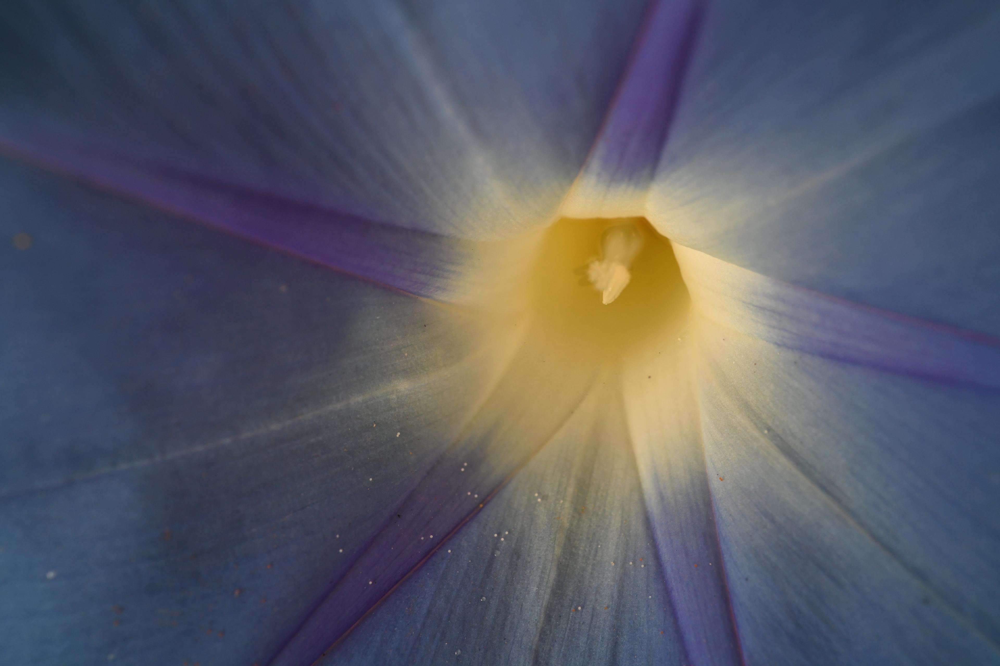 flora — Untitled.jpeg