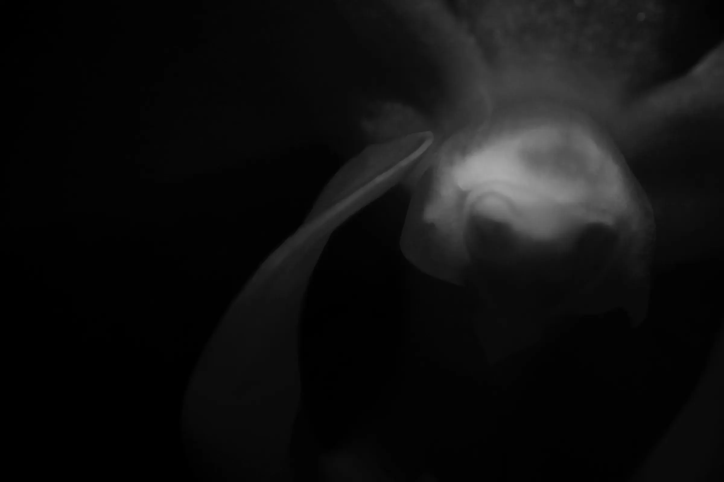 near-black frame with a faint pale form emerging from the dark, low-key and ghostly