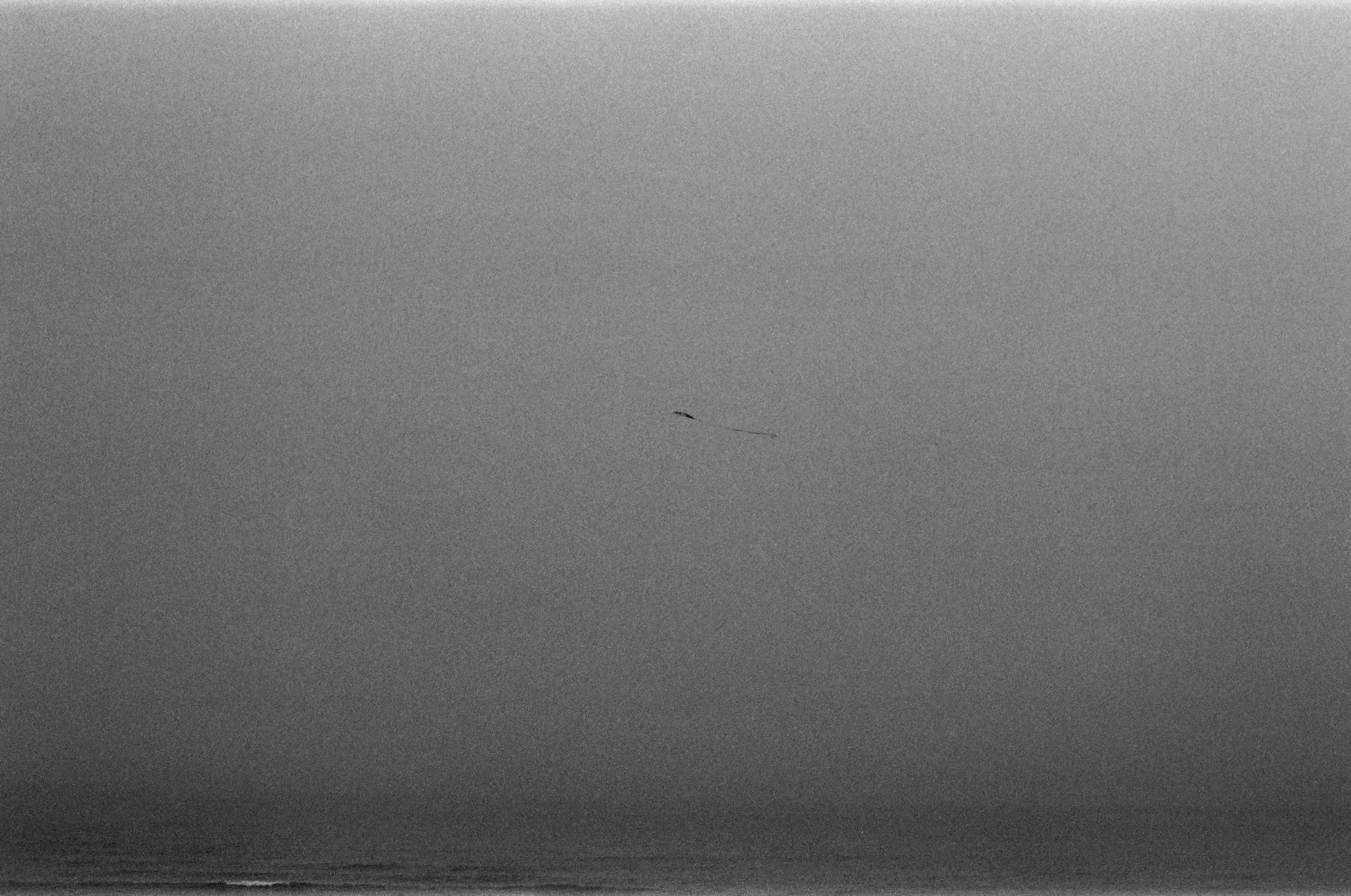 near-empty grey field, water and haze merging with no horizon