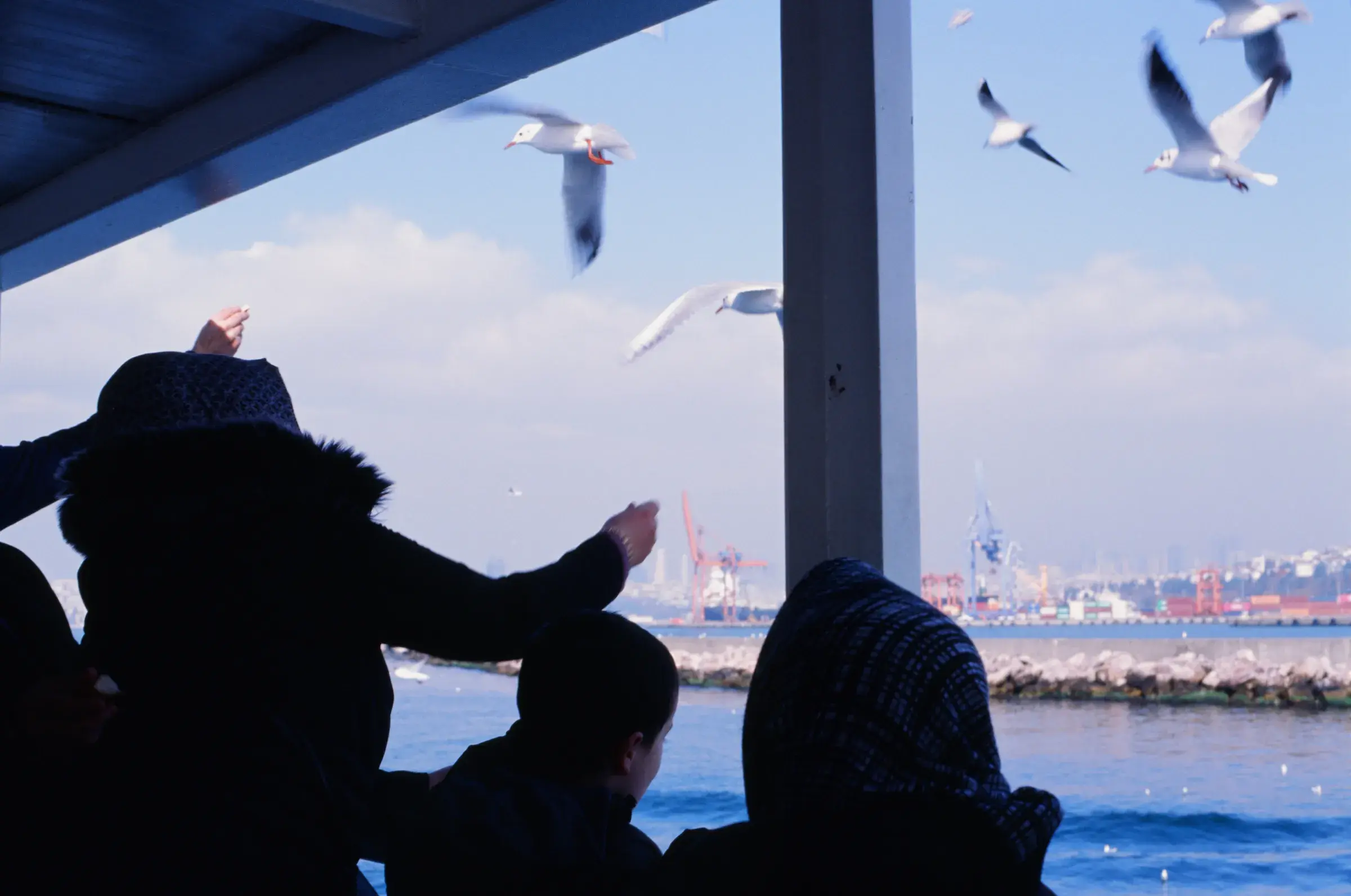 person in a dark coat leaning on a rail above a harbour, a gull in flight, port cranes beyond