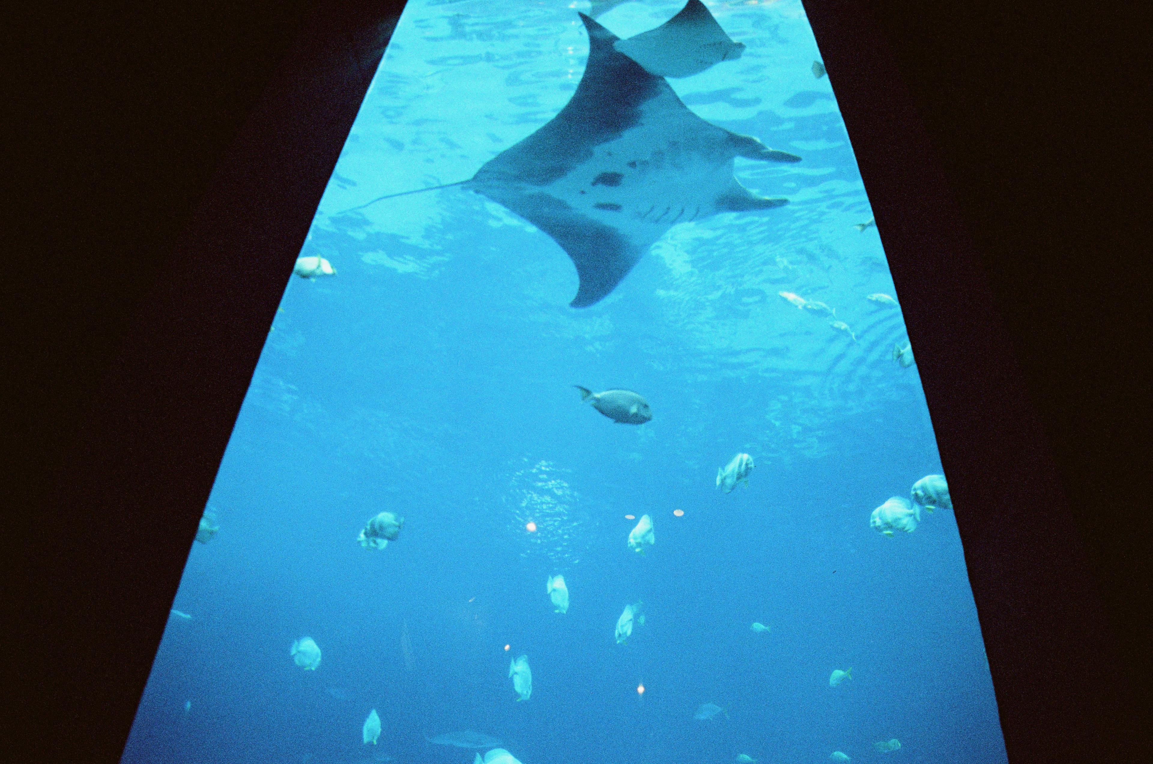 travel — 000701500035.jpeg