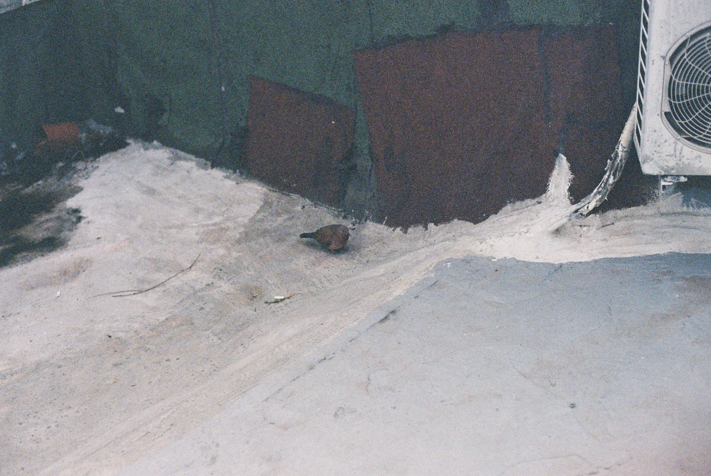 crusted white ground beside a dark weathered structure