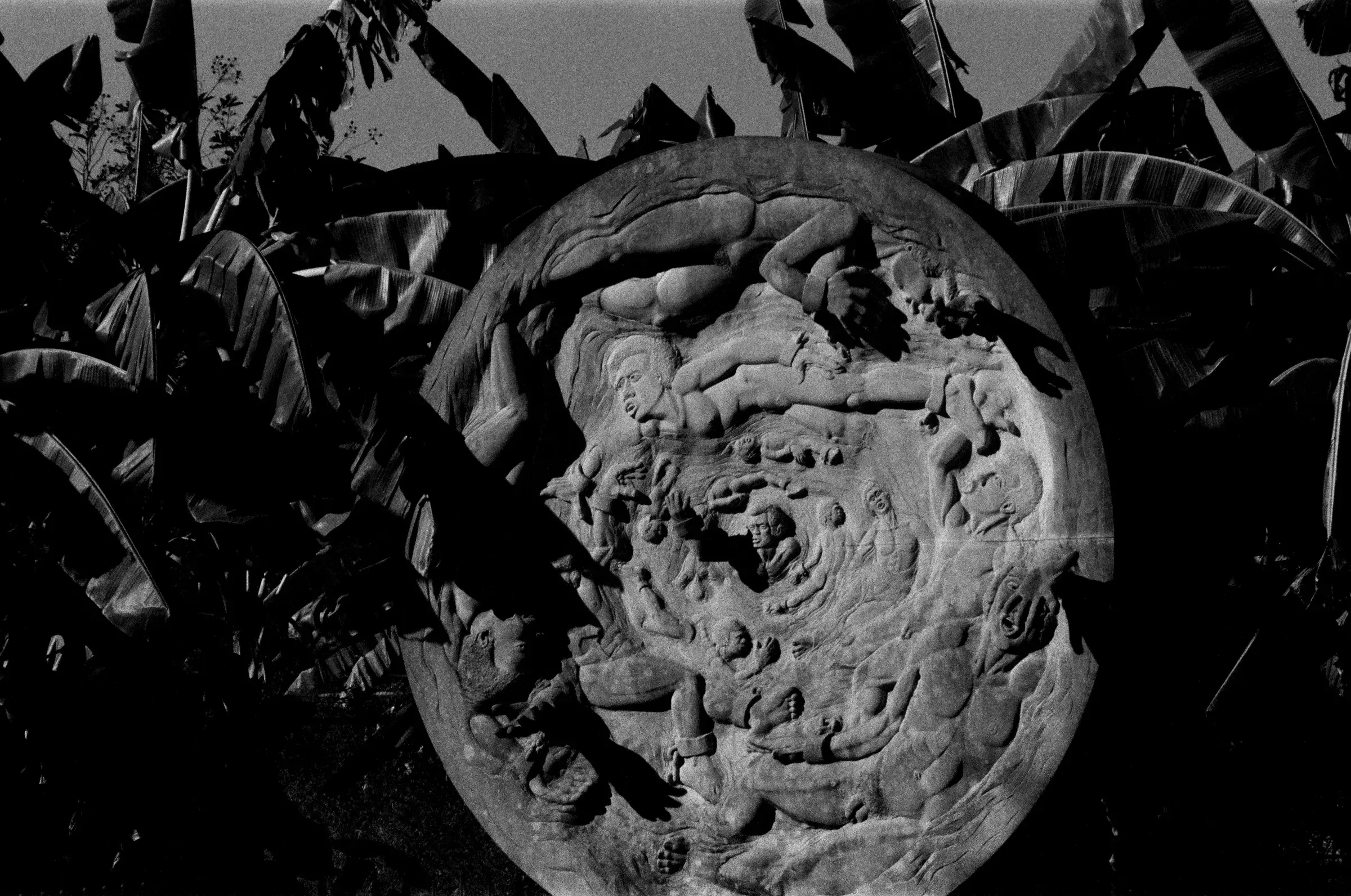 black and white carved stone medallion ringed by dark foliage