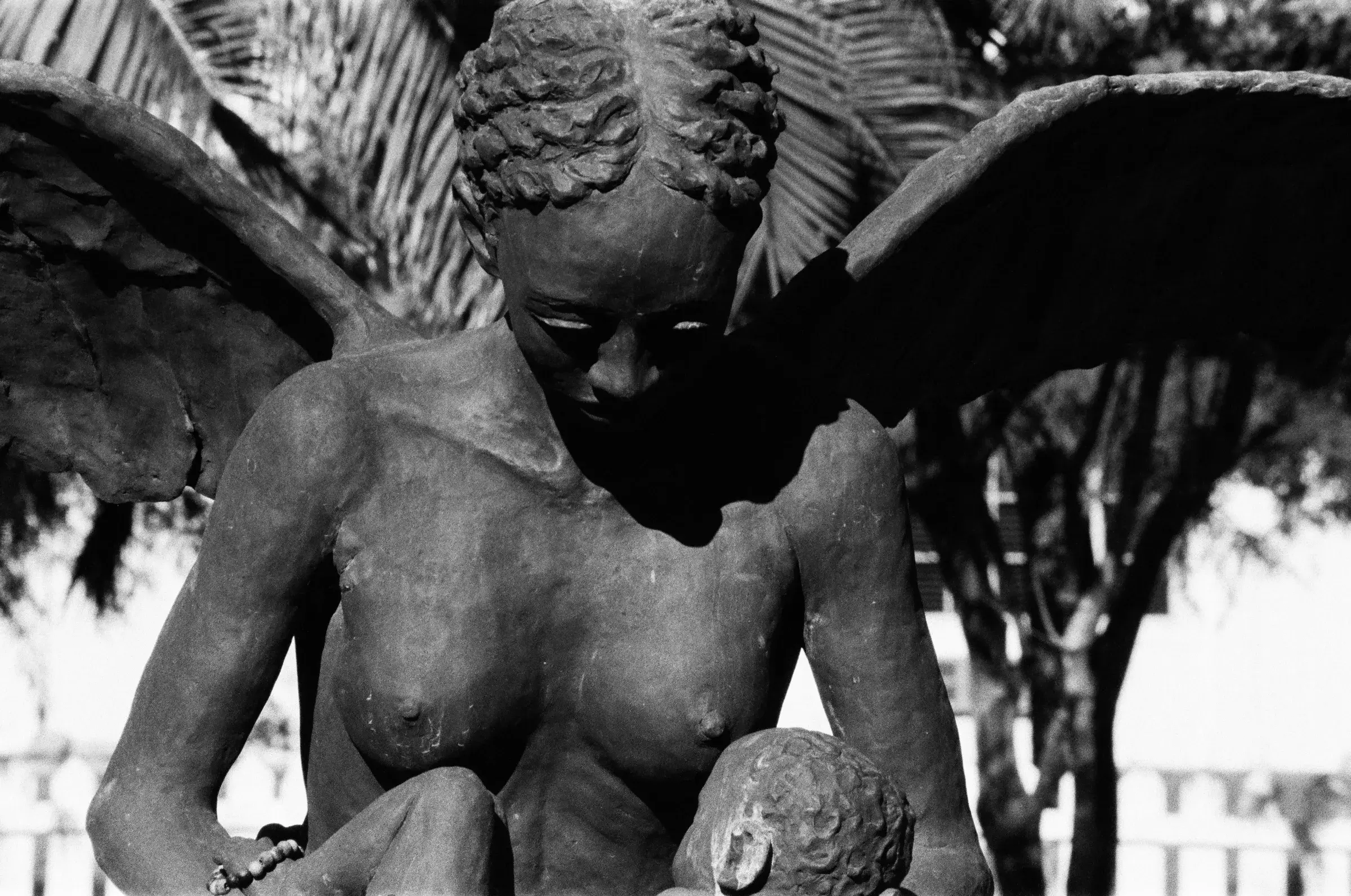 black and white winged cherub statue, dark foliage behind it