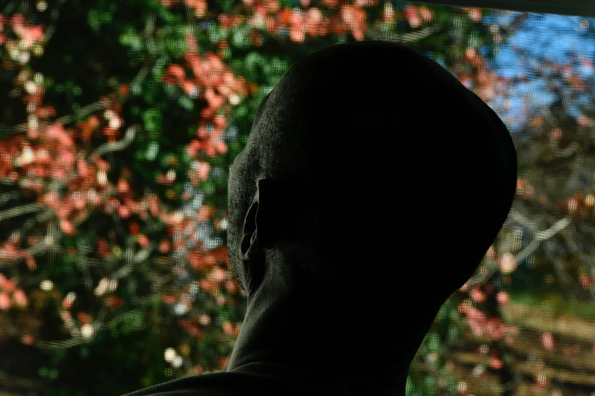 silhouette of a shaved head in profile against a screen of blurred red and green foliage